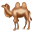 :camel-emoji: